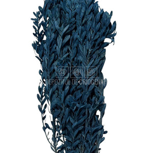Buchet Stabilizat PUBESCENS Dusty Blue (culoare albastru, 40-50 cm)