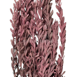 Buchet Stabilizat PUBESCENS Dusty Pink (culoare roz inchis, 40-50 cm)