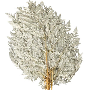 Feriga RUMOHRA WHITE Lulu (buchet 10 fire, 50-60 cm)