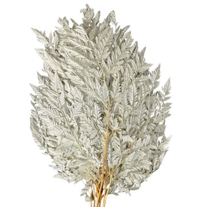 Feriga RUMOHRA WHITE Lulu (buchet 10 fire, 50-60 cm)