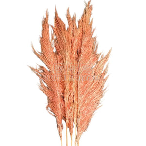 PAMPAS PASTEL PINK (buchet 5 fire, 80-90 cm)