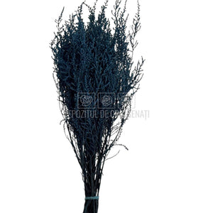 STOEBE DUSTY BLUE (buchet albastru inchis, 40-50 cm)