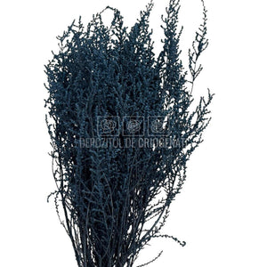 STOEBE DUSTY BLUE (buchet albastru inchis, 40-50 cm)