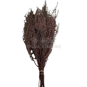 STOEBE DUSTY PINK (buchet roz inchis, 40-50 cm)