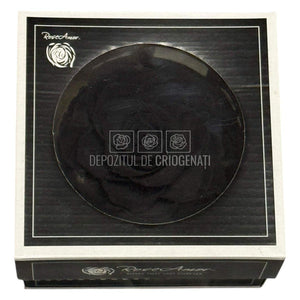 Trandafir Criogenat Bonita Bla-01 - Trandafiri Criogenati RoseAmor