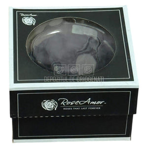 Trandafir Criogenat Bonita Bla-01 - Trandafiri Criogenati RoseAmor