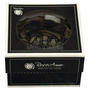 Trandafir Criogenat Bonita Bla-01 - Trandafiri Criogenati RoseAmor