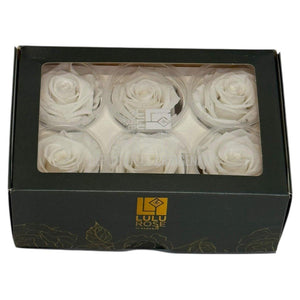 Trandafiri Criogenati Lulu L ANGELICAL WHITE (dia. 6-6,5cm, set 6 buc)