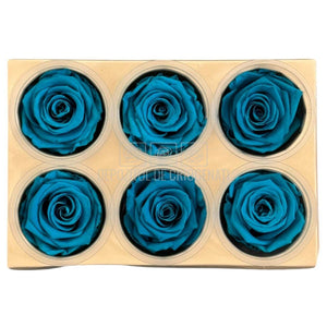 Trandafiri Criogenati Lulu L AUTHENTIC TURQUOISE (dia. 6-6,5cm, set 6 buc)
