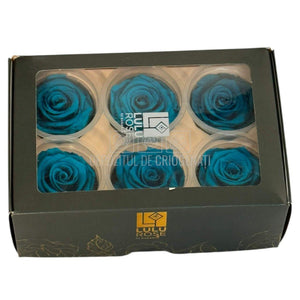Trandafiri Criogenati Lulu L AUTHENTIC TURQUOISE (dia. 6-6,5cm, set 6 buc)