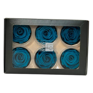 Trandafiri Criogenati Lulu L AUTHENTIC TURQUOISE (dia. 6-6,5cm, set 6 buc)