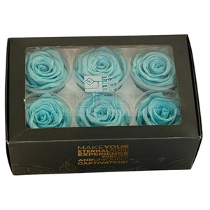 Trandafiri Criogenati Lulu L BLUE TIFFANY (dia. 6-6,5cm, set 6 buc)