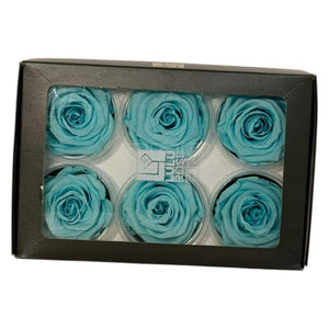 Trandafiri Criogenati Lulu L BLUE TIFFANY (dia. 6-6,5cm, set 6 buc)