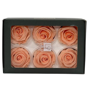 Trandafiri Criogenati Lulu L CORALICIOUS PEACH (dia. 6-6,5cm, set 6 buc)