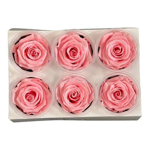 Trandafiri Criogenati Lulu L DELICATE BABY PINK (dia. 6-6,5cm, set 6 buc)