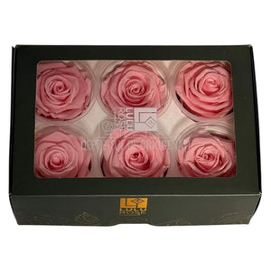 Trandafiri Criogenati Lulu L DELICATE BABY PINK (dia. 6-6,5cm, set 6 buc)