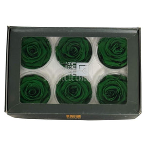 Trandafiri Criogenati Lulu L EXQUISITE GREEN (dia. 6-6,5cm, set 6 buc)