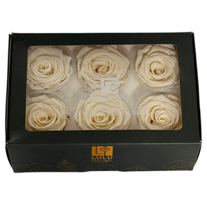 Trandafiri Criogenati Lulu L FANCY CREAM (dia. 6-6,5cm, set 6 buc)