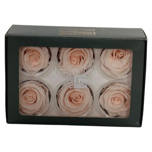 Trandafiri Criogenati Lulu L FASCINATING PORCELAIN (dia. 6-6,5cm, set 6 buc)