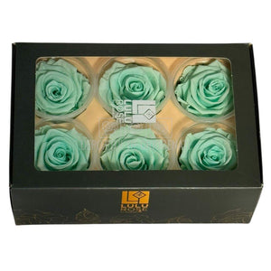 Trandafiri Criogenati Lulu L MAJESTIC LIGHT MINT (dia. 6-6,5cm, set 6 buc)