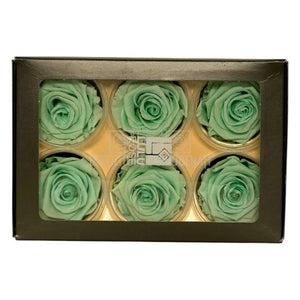 Trandafiri Criogenati Lulu L MAJESTIC LIGHT MINT (dia. 6-6,5cm, set 6 buc)
