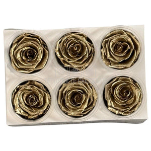 Trandafiri Criogenati Lulu L METALIC GOLD (dia. 6-6,5cm, set 6 buc)