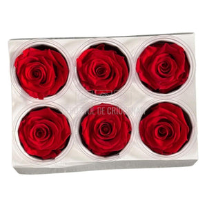 Trandafiri Criogenati Lulu L SUBLIME CHERRY RED (dia. 6-6,5cm, set 6 buc)