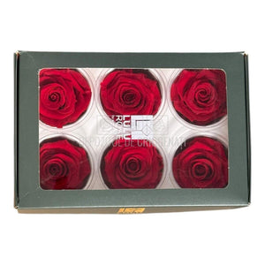 Trandafiri Criogenati Lulu L SUBLIME CHERRY RED (dia. 6-6,5cm, set 6 buc)