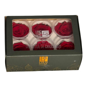 Trandafiri Criogenati Lulu L SUBLIME CHERRY RED (dia. 6-6,5cm, set 6 buc)