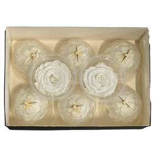 Trandafiri Criogenati Lulu S Angelical White (Ø4,5-5cm, 8 buc)