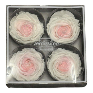 Trandafiri Criogenati PREMIUM BICOLOR - Alb cu Roz