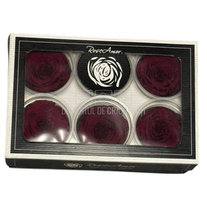 Trandafiri Criogenati RoseAmor XL PIN-02 - Set 6 buc