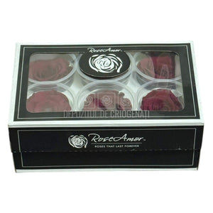 Trandafiri Criogenati RoseAmor XL PIN-02 - Set 6 buc