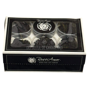 Trandafiri Criogenati XL BLA GALAXY - set 6 buc RoseAmor