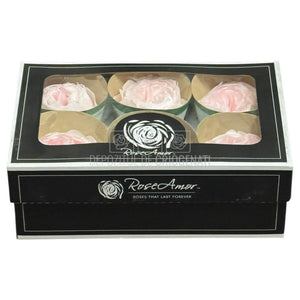 Trandafiri Criogenati set 6 buc - NIKI PIN-99