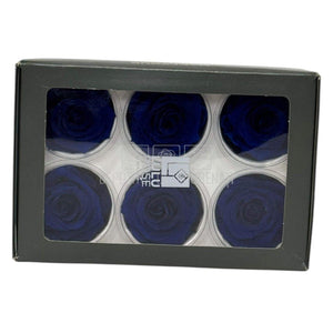 Trandafiri criogenati Lulu L CLASSY BLUE (dia. 6-6,5cm, set 6 buc)