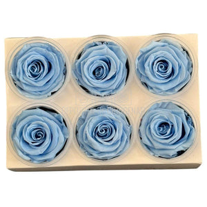 Trandafiri criogenati Lulu L GRACEFUL BABY BLUE (dia. 6-6,5cm, set 6 buc)