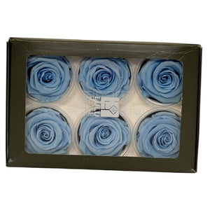 Trandafiri criogenati Lulu L GRACEFUL BABY BLUE (dia. 6-6,5cm, set 6 buc)