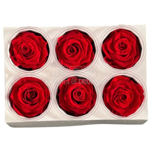Trandafiri criogenati Lulu L PASIONATE RED (dia. 6-6,5cm, set 6 buc)