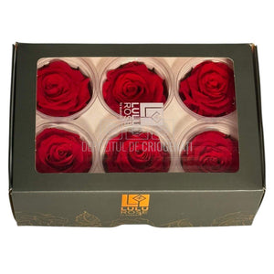 Trandafiri criogenati Lulu L PASIONATE RED (dia. 6-6,5cm, set 6 buc)