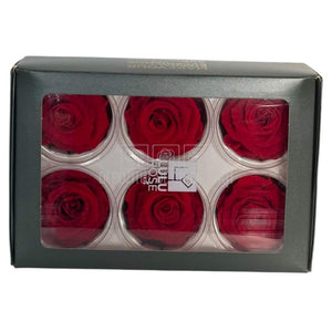 Trandafiri criogenati Lulu L PASIONATE RED (dia. 6-6,5cm, set 6 buc)