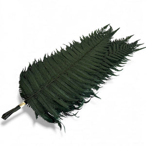 Feriga Verde Parchment (Buchet Criogenat, 10 buc) - Depozitul de Criogenati