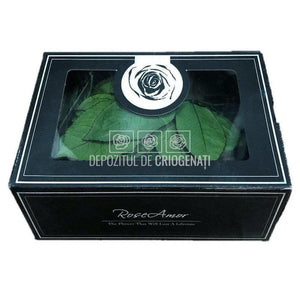 Frunze Criogenate 5 buc/Crenguta (pentru Trandafiri Criogenati) - DepozituldeCriogenati.ro