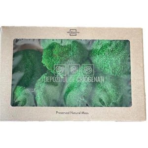 Muschi Stabilizat Bombat Verde (cutie 180gr)