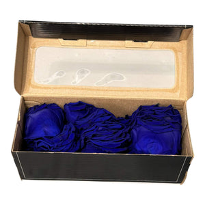 Petale de Trandafiri Criogenati PETALS BLU - 03 (cutie) - DepozituldeCriogenati.ro