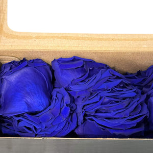 Petale de Trandafiri Criogenati PETALS BLU - 03 (cutie) - DepozituldeCriogenati.ro