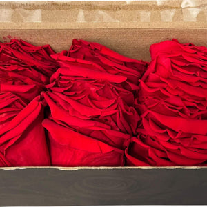 Petale de Trandafiri Criogenati PETALS RED - 02 (cutie) - DepozituldeCriogenati.ro