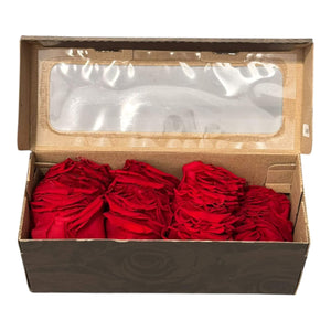 Petale de Trandafiri Criogenati PETALS RED - 02 (cutie) - DepozituldeCriogenati.ro