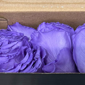 Petale de Trandafiri Criogenati PETALS VIO - 01 (cutie) - DepozituldeCriogenati.ro