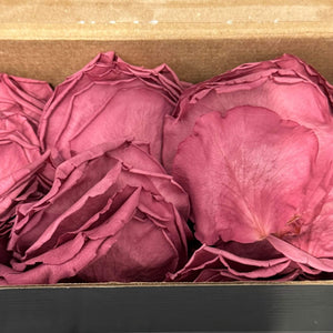 Petale de Trandafiri Criogenati PETALS VIO - 02 (cutie) - DepozituldeCriogenati.ro